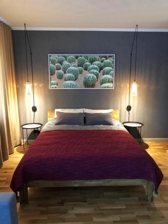 Kaktuss Apartamenti סמילטנה מראה חיצוני תמונה